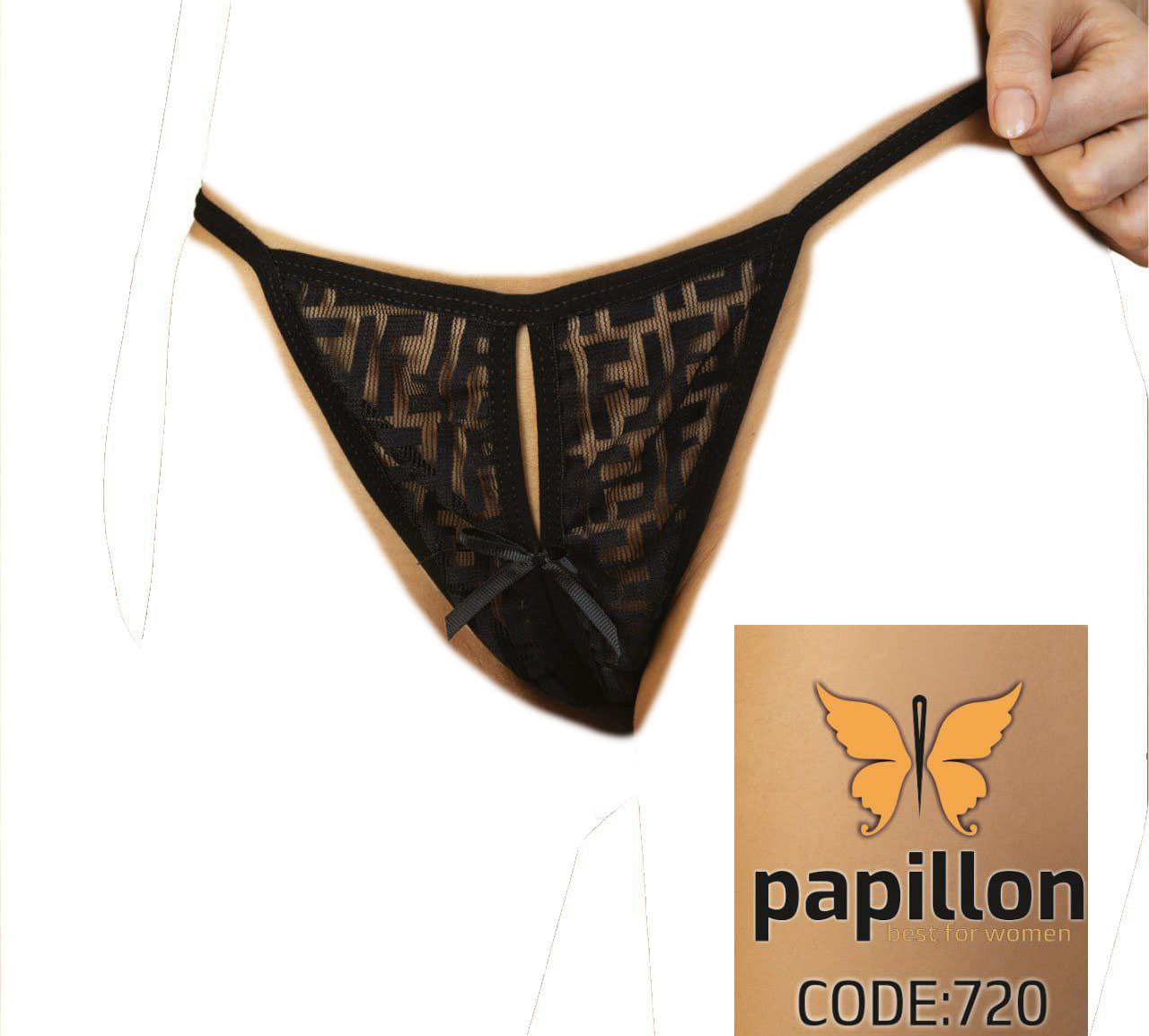 short-papillon-720